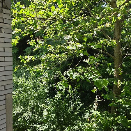 Visnjik Park Prestige